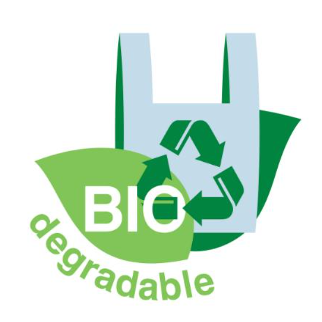 Professor Qi Qingsheng’s Team at Shandong University Achieves Complete Degradation of Commercial PBAT/PLA Plastic Bags Within 3 Hours